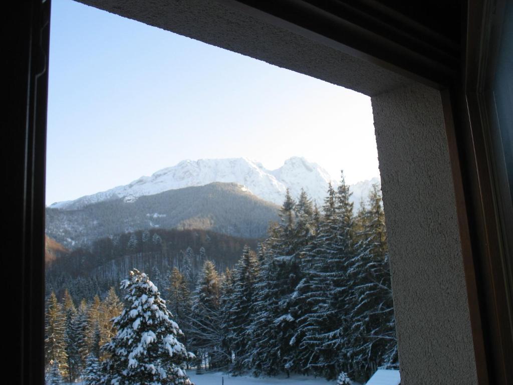 Willa Otulina Pod Giewontem Zakopane Room photo